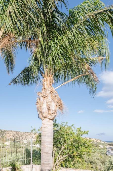 Olea Seaside Luxury In Crete Keratokampos